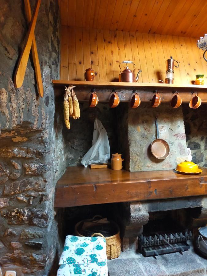 فيلا Cal Ferrer Habitatge Rural Cava المظهر الخارجي الصورة