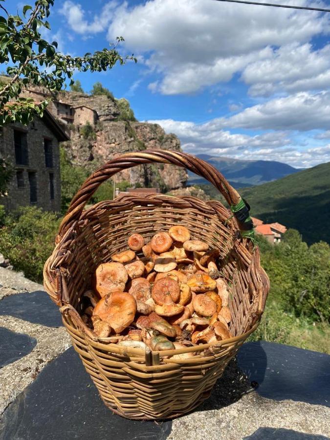فيلا Cal Ferrer Habitatge Rural Cava المظهر الخارجي الصورة