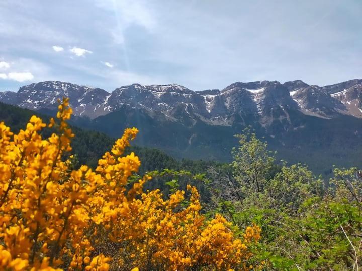 فيلا Cal Ferrer Habitatge Rural Cava المظهر الخارجي الصورة