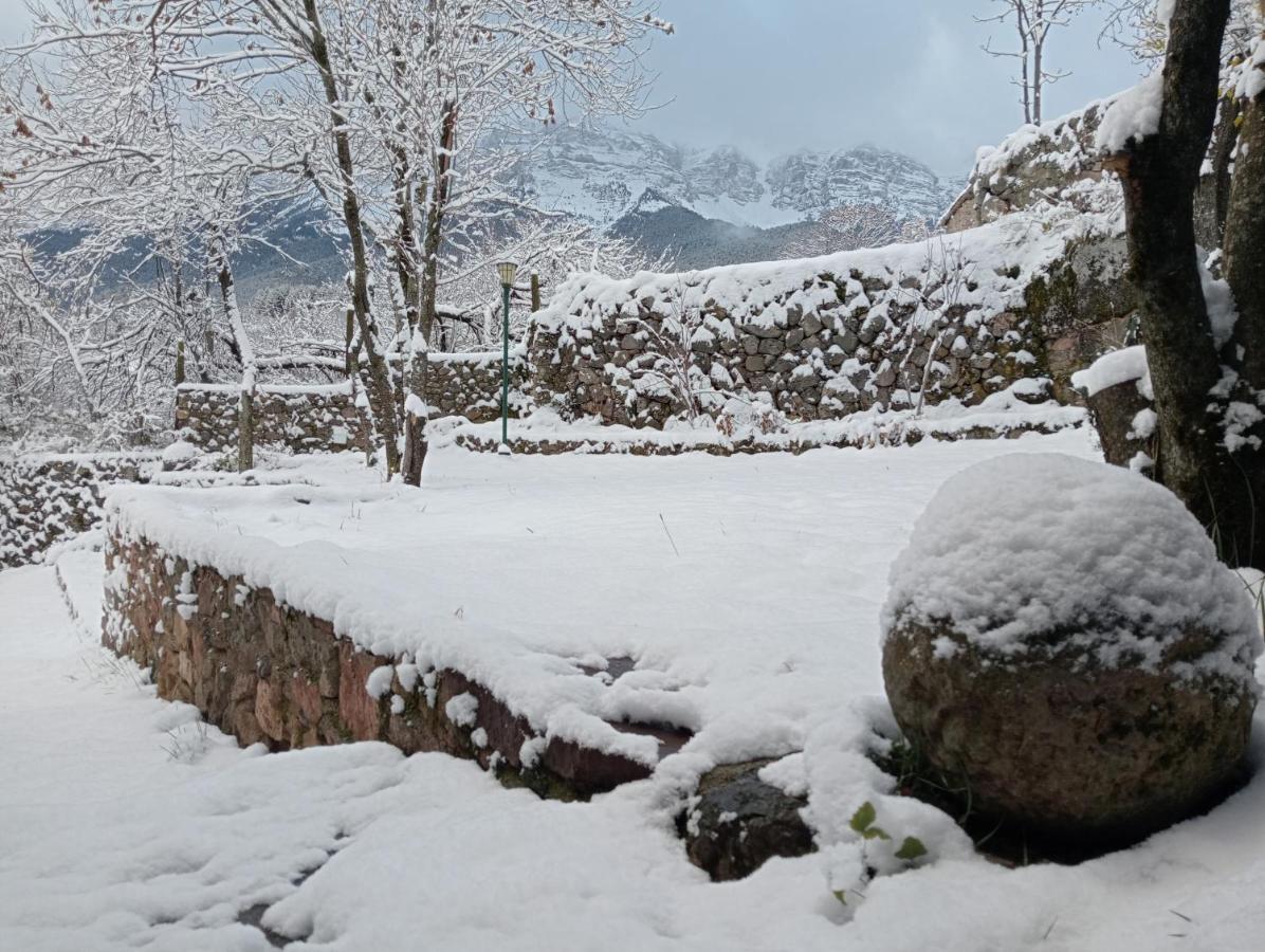فيلا Cal Ferrer Habitatge Rural Cava المظهر الخارجي الصورة